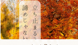 秋の景色と筆文字の作品
